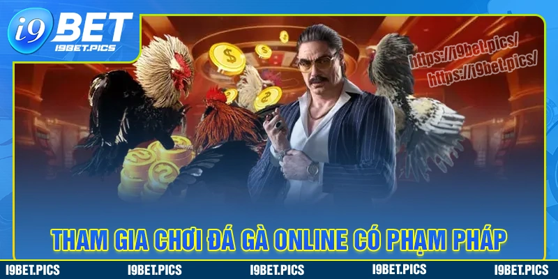 Đá gà trực tuyến có phạm pháp và quy định pháp luật hiện hành